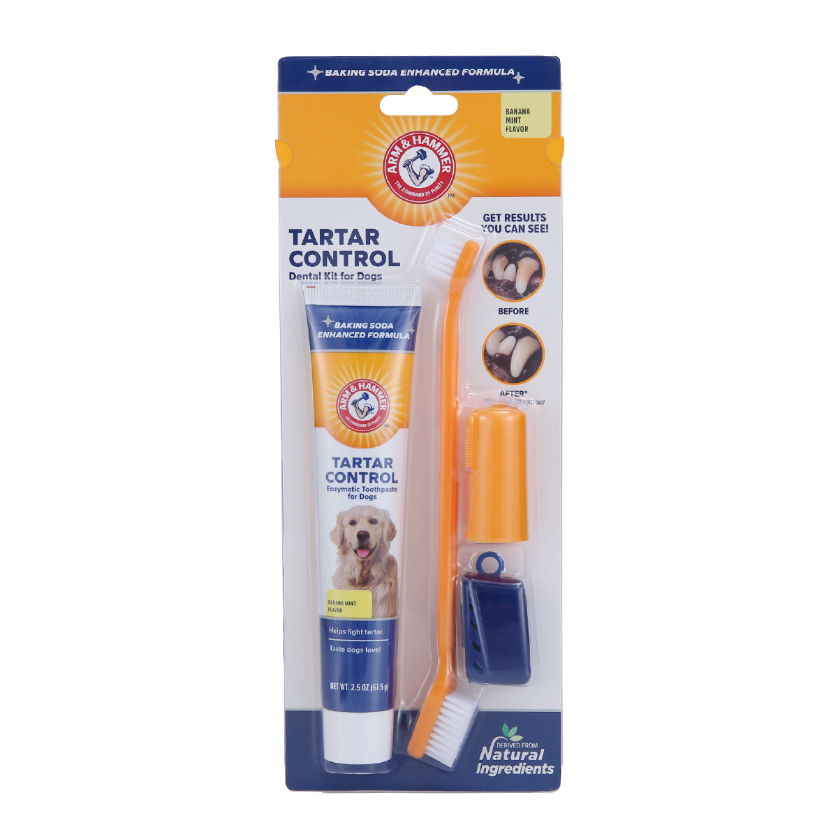 Cuidado dental para mascotas