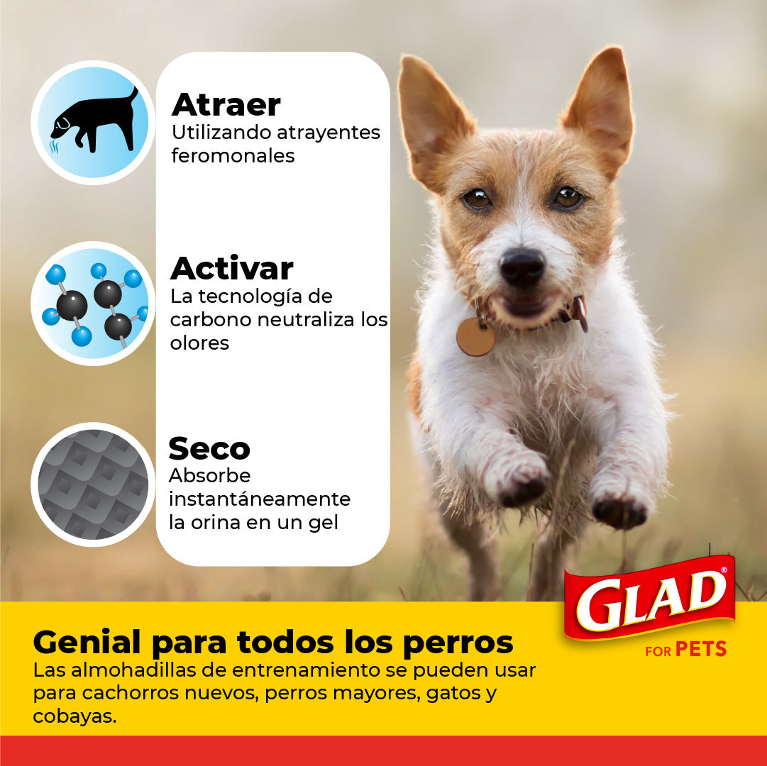 Tapete Entrenador para Perro Glad 5 Capas a Prueba de Fuga, Elimina Olor, Convierte Orina a Gel 14pz