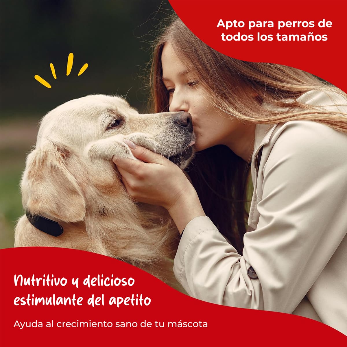 Premio para Perros Beefeaters Chicken Jerky Strips 47 g 3