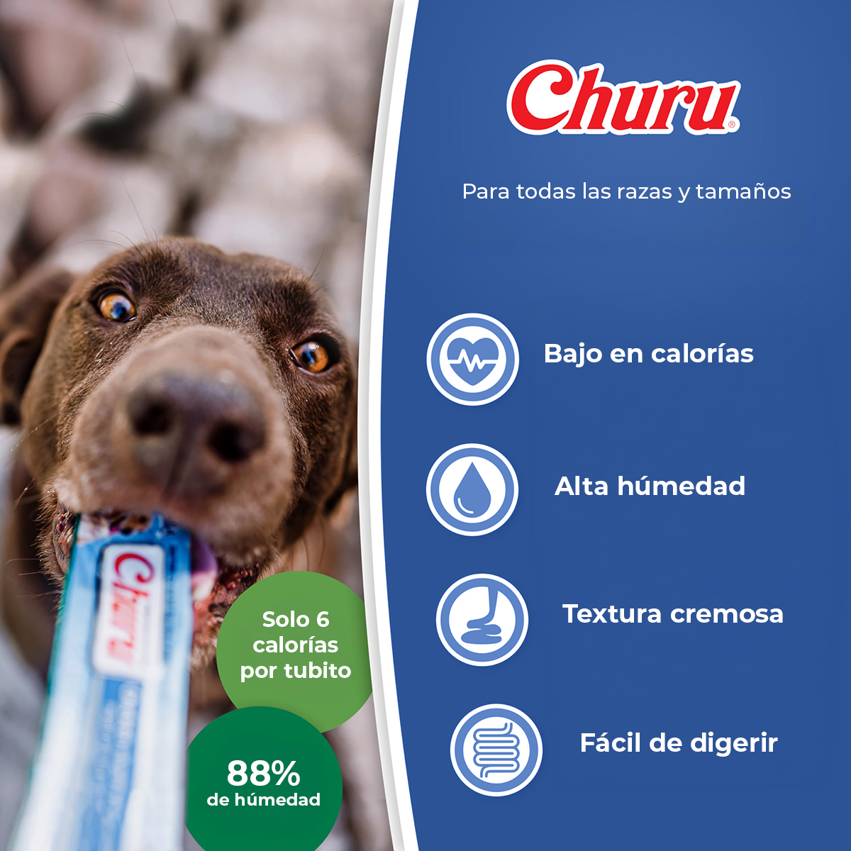 Snack Cremoso para Perros Inaba Churu Mix de Sabores 3