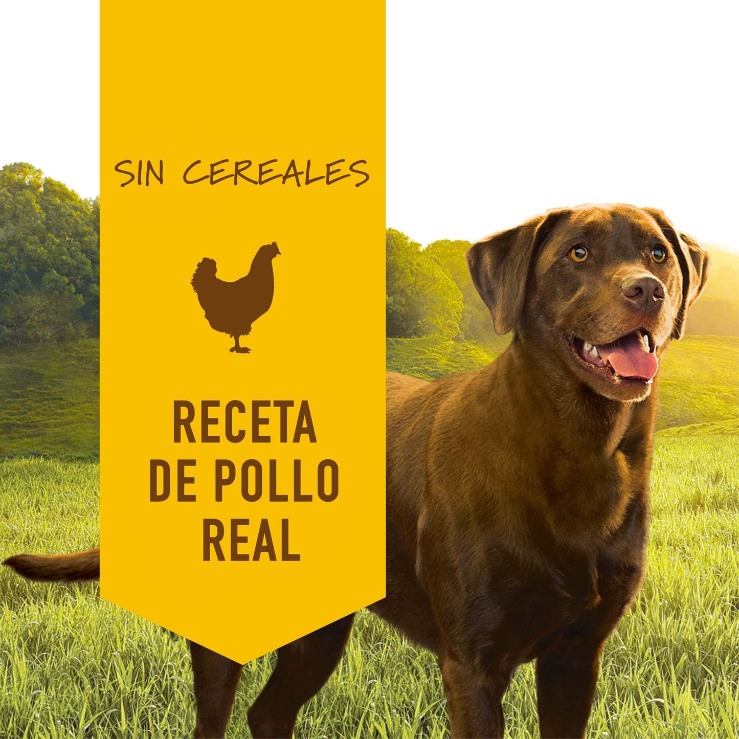 Instinct Pollo en Lata Para Perros - 375 Gramos