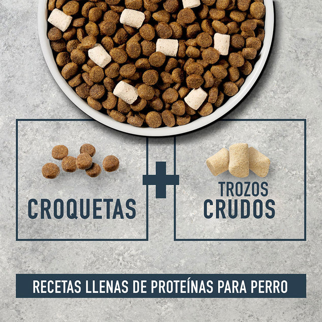 Instinct Raw Boost Para Perros de Salmón con Granos y Arroz Integral - 2 Kg.