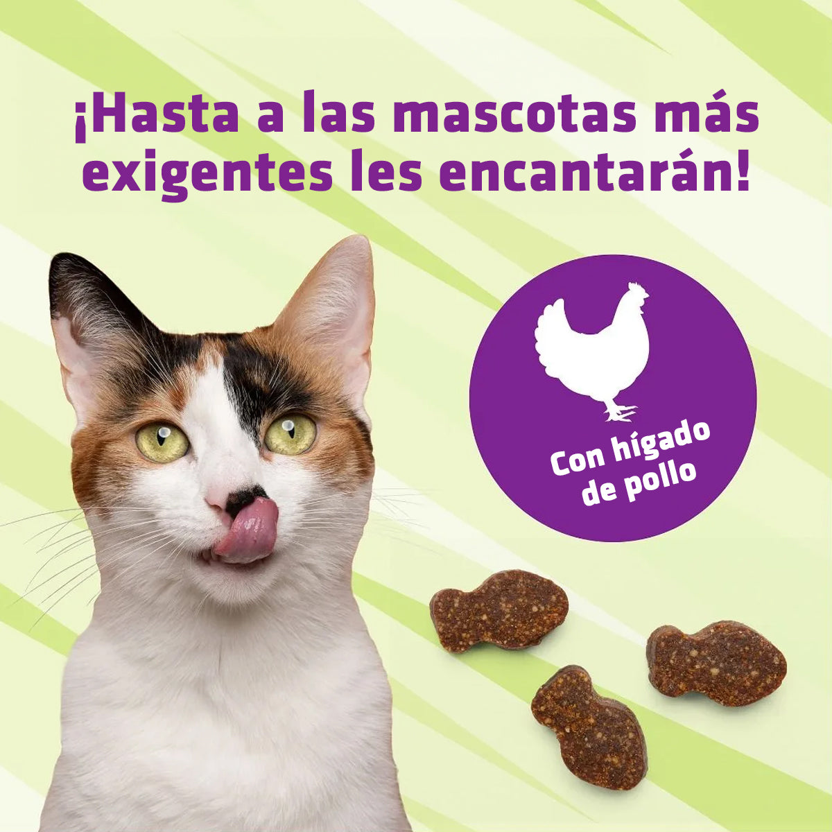 Suplemento Pet Naturals L-Lisina para Gatos 3