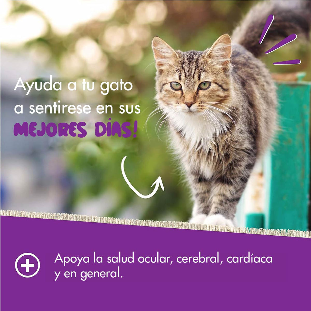 Suplemento Pet Naturals Multivitamínico Diario para Gatos 3