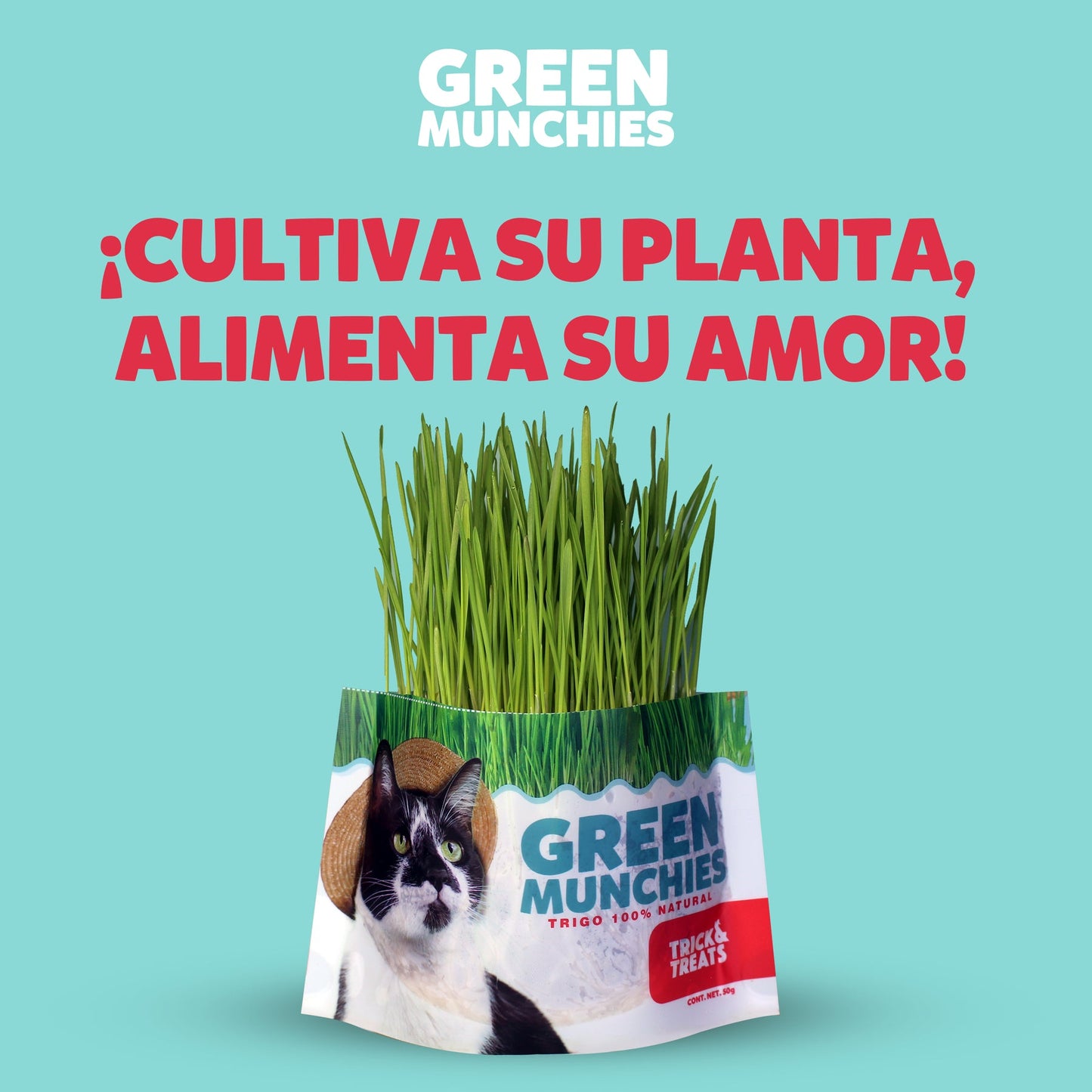 Green Munchies Trigo, Pasto Para Gato, 50g.