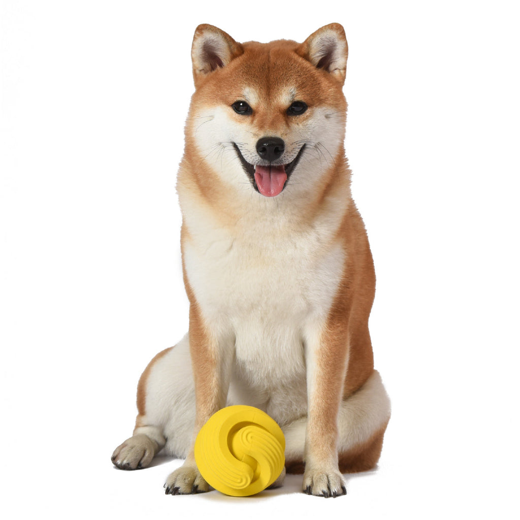 Juguete para Perro Arm & Hammer, Limpia Dientes y Reduce Sarro, Ultra resistente - Rock N Roller - tienddy.com