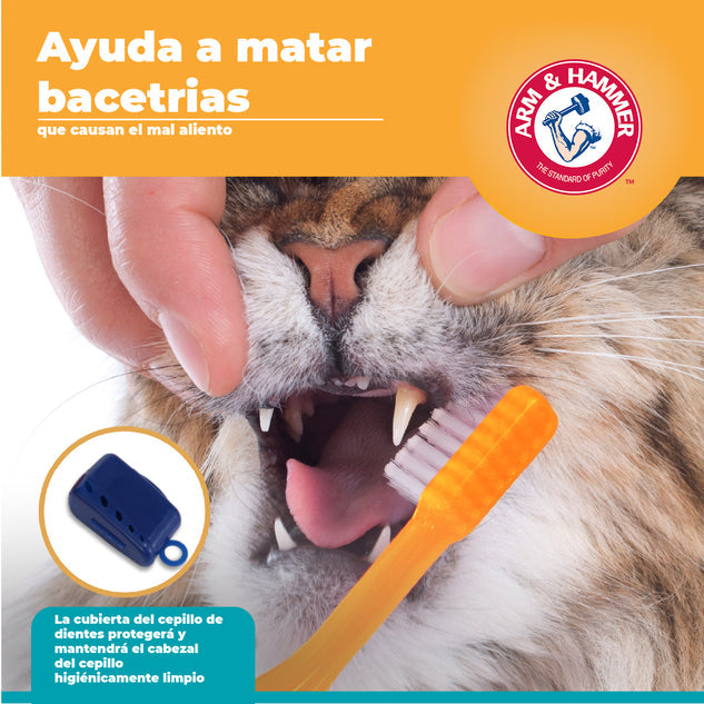 Kit Pasta Dental con Cepillo para Gato Arm & Hammer, Elimina Sarro y Mal Aliento, Sabor Atún, 3 pzas. - tienddy.com
