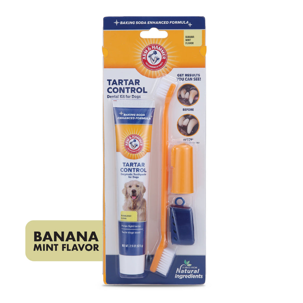 Kit Pasta Dental para Perro Arm & Hammer, Elimina Sarro y Mal Aliento, Sabor Plátano con Menta 3 pzas. - tienddy.com