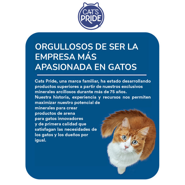 La empresa mas apasionada por los gatos