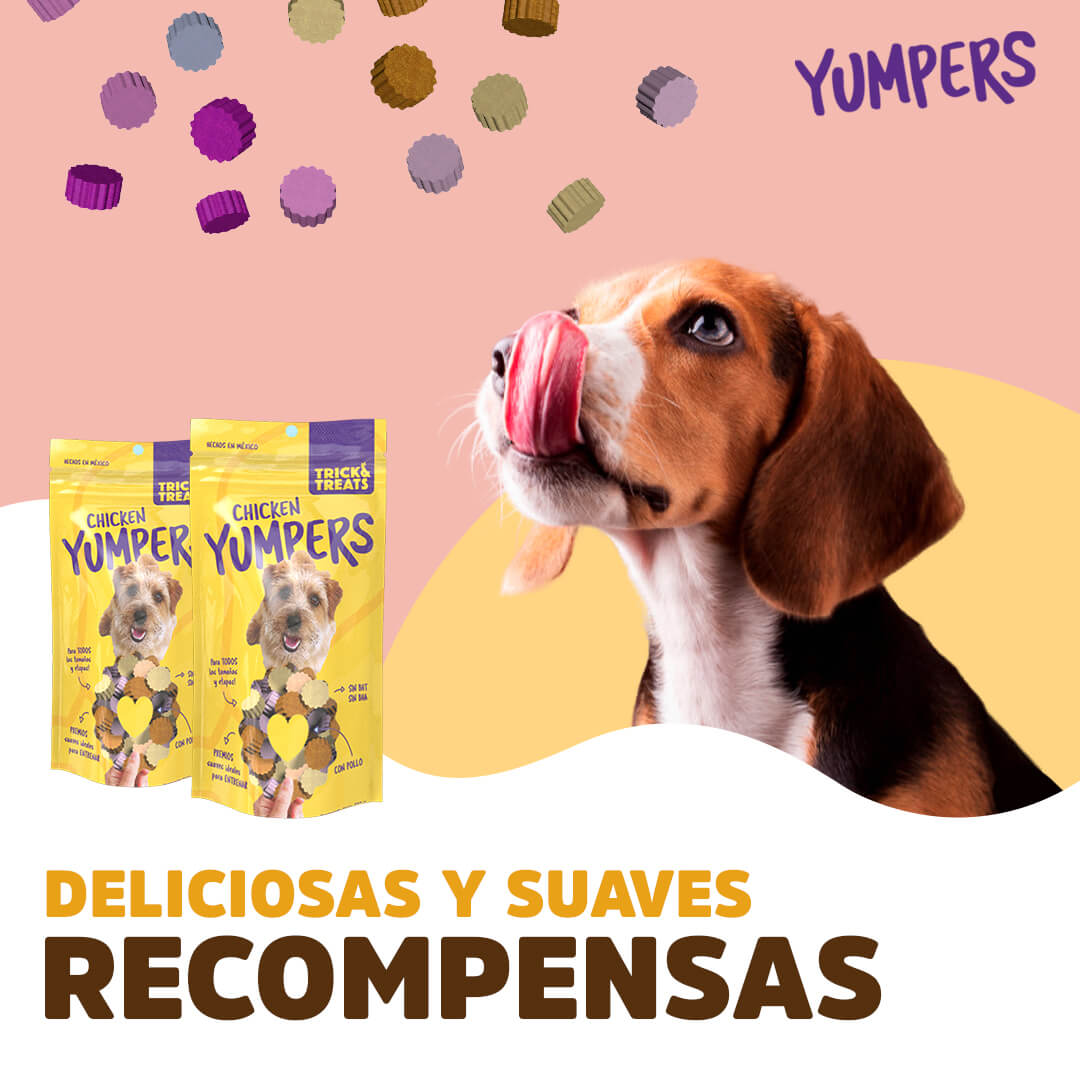 Yumpers de Trick & Treats: Pollo, 100 g.