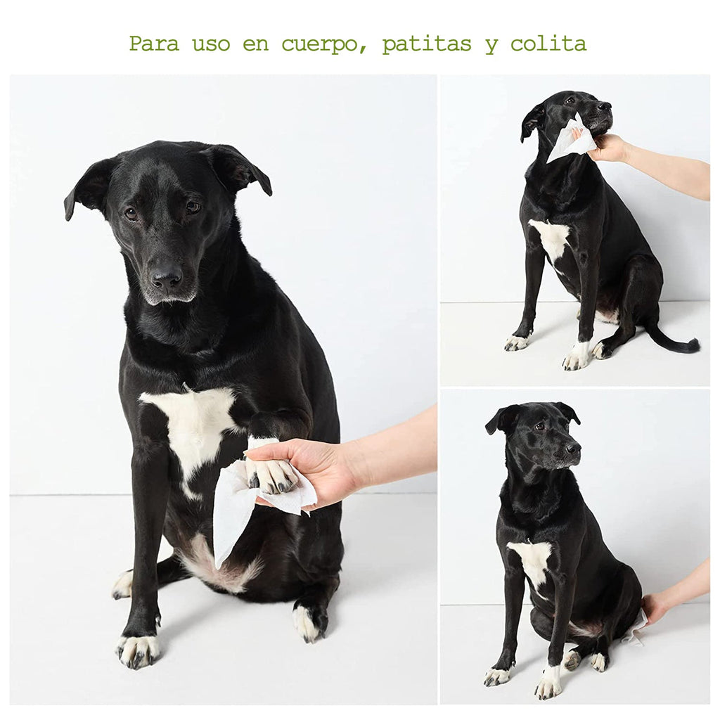 Toallitas Húmedas para Perros, Hipoalergénicas, Aroma Lavanda - 100 pzs - tienddy.com