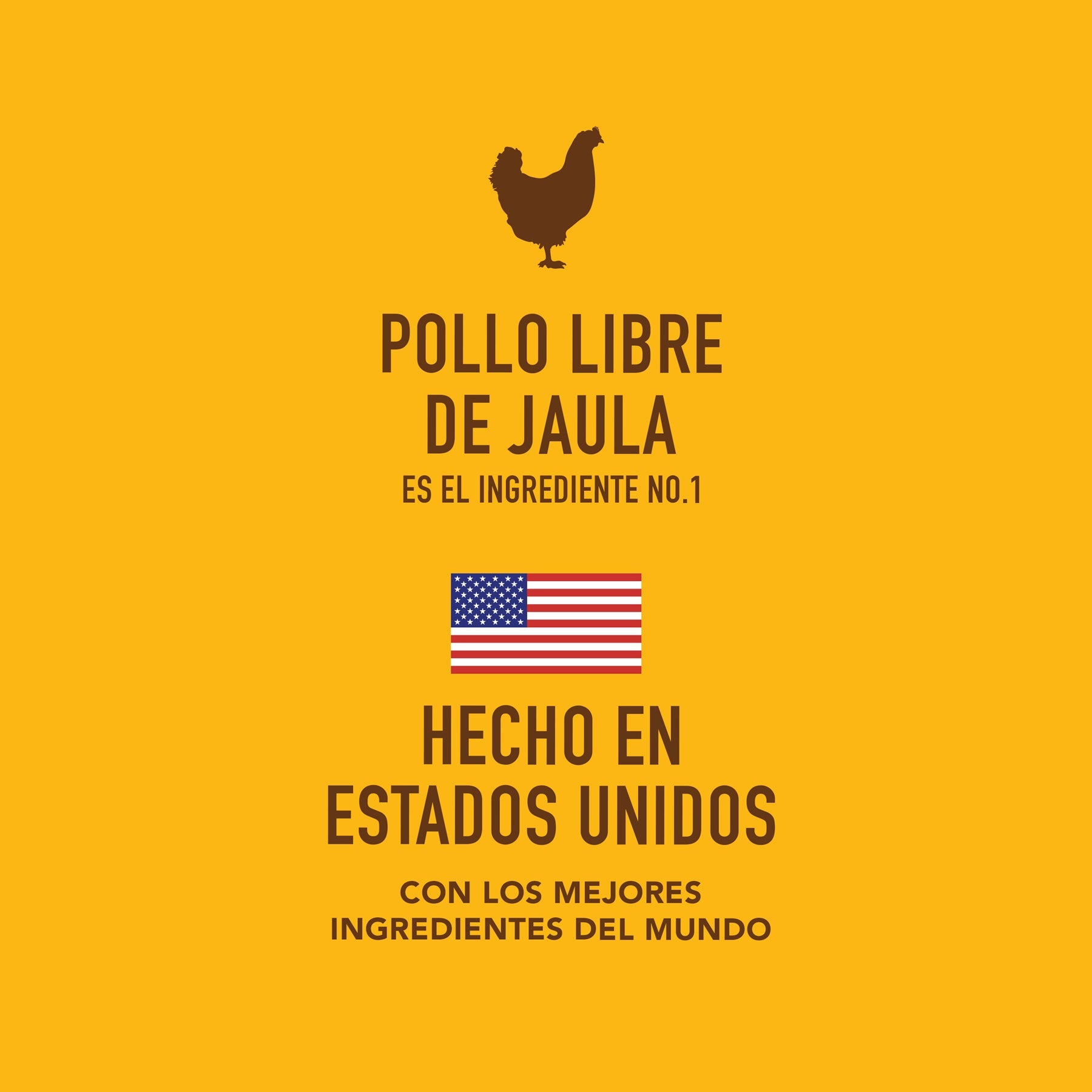 Pollo libre de Jaula