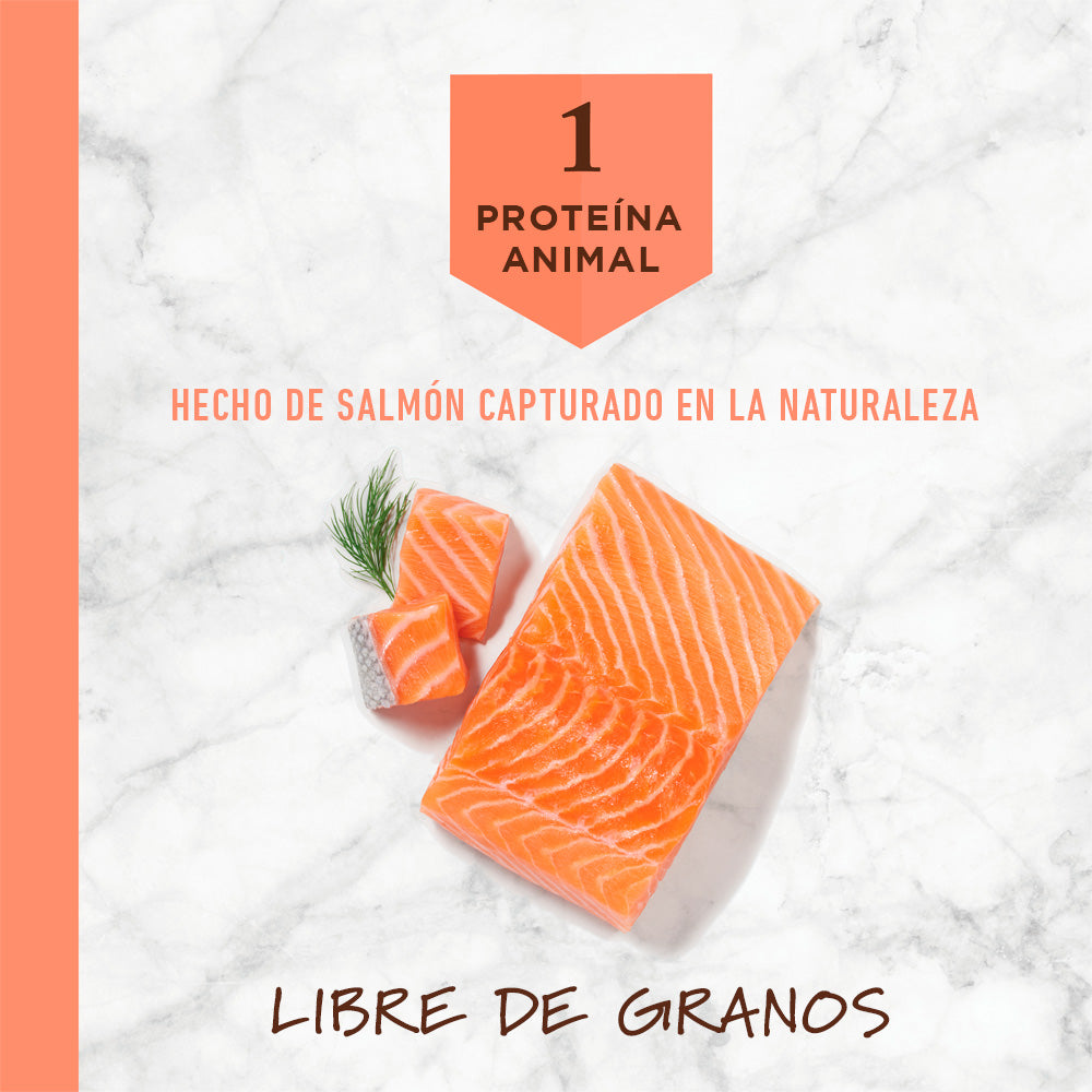 Instinct LID Salmón Para Perros - 9 Kg. - tienddy.com