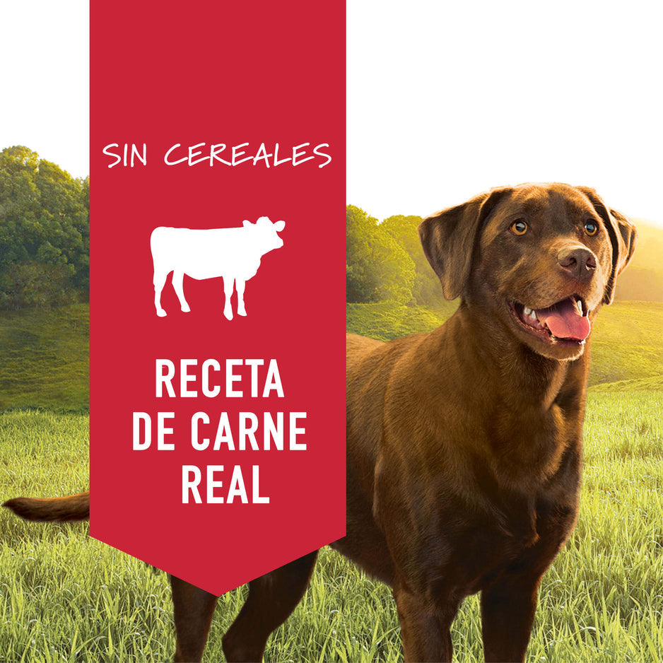 Lata Instinct Res Para Perros - 374 Gramos - tienddy.com