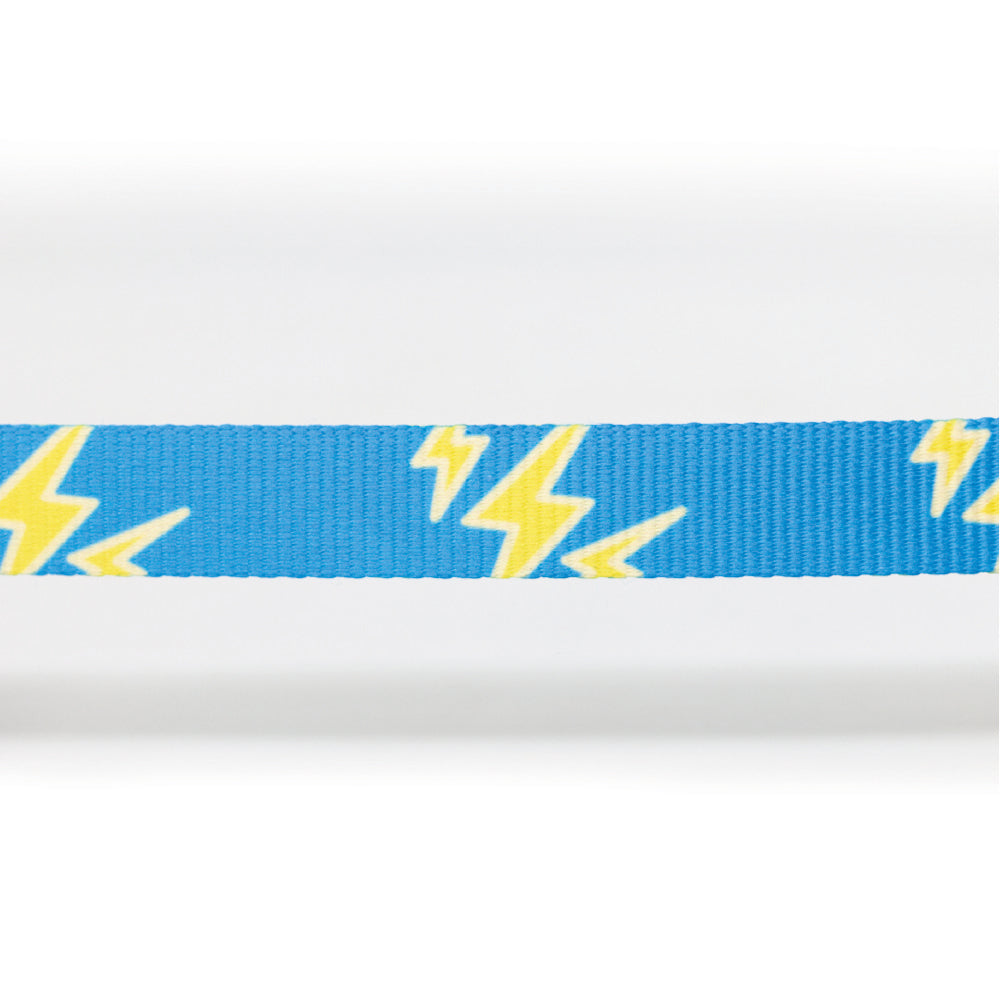 Correa Para Perro Con Cintilla y Costuras Reforzadas En Ambos Extremos. 120 cm. - Celeste - tienddy.com