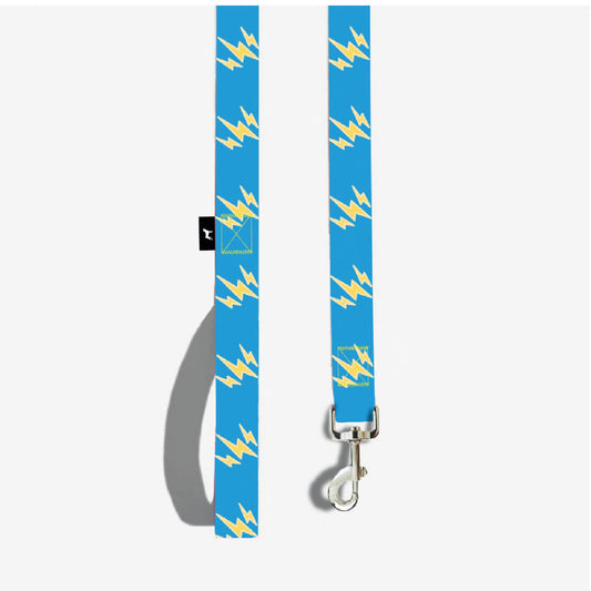 Correa Para Perro Con Cintilla y Costuras Reforzadas En Ambos Extremos. 120 cm. - Celeste - tienddy.com