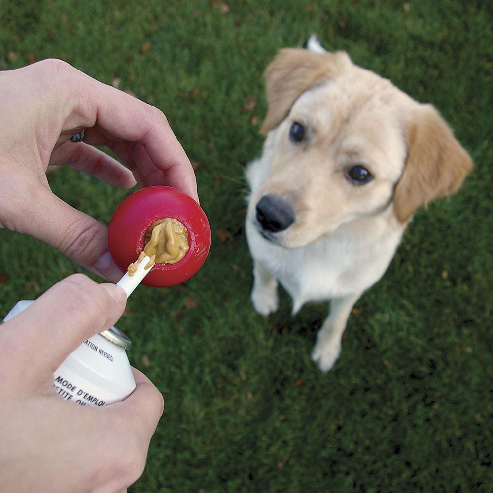 Kong Stuff'n - Camote - tienddy.com