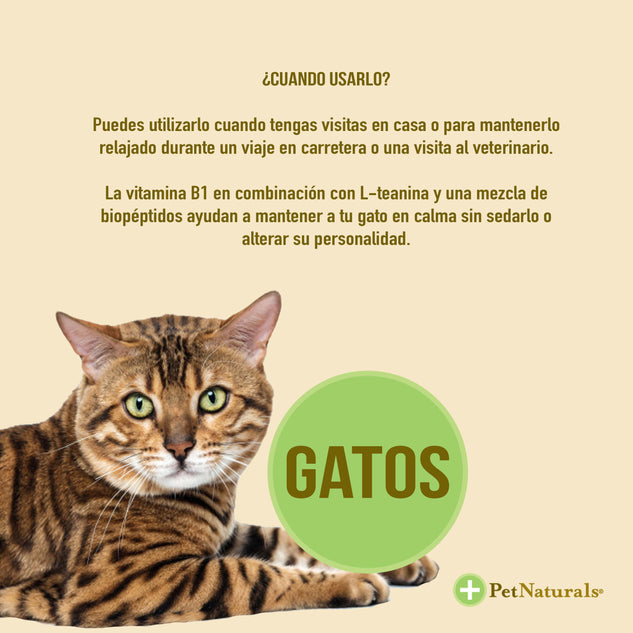 Calmantes para Gatos, Pet Naturals, 21 pastillas - tienddy.com