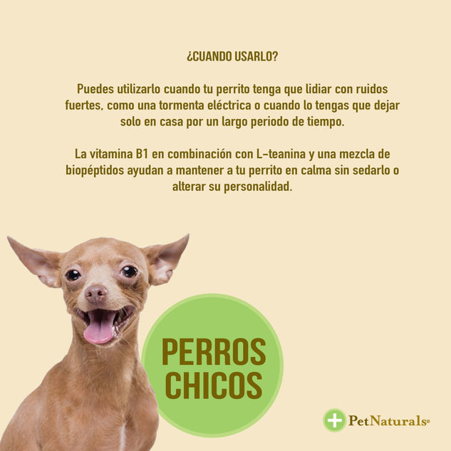 Calmantes para Perros, Pet Naturals, 21 pastillas - Razas Chicas - tienddy.com