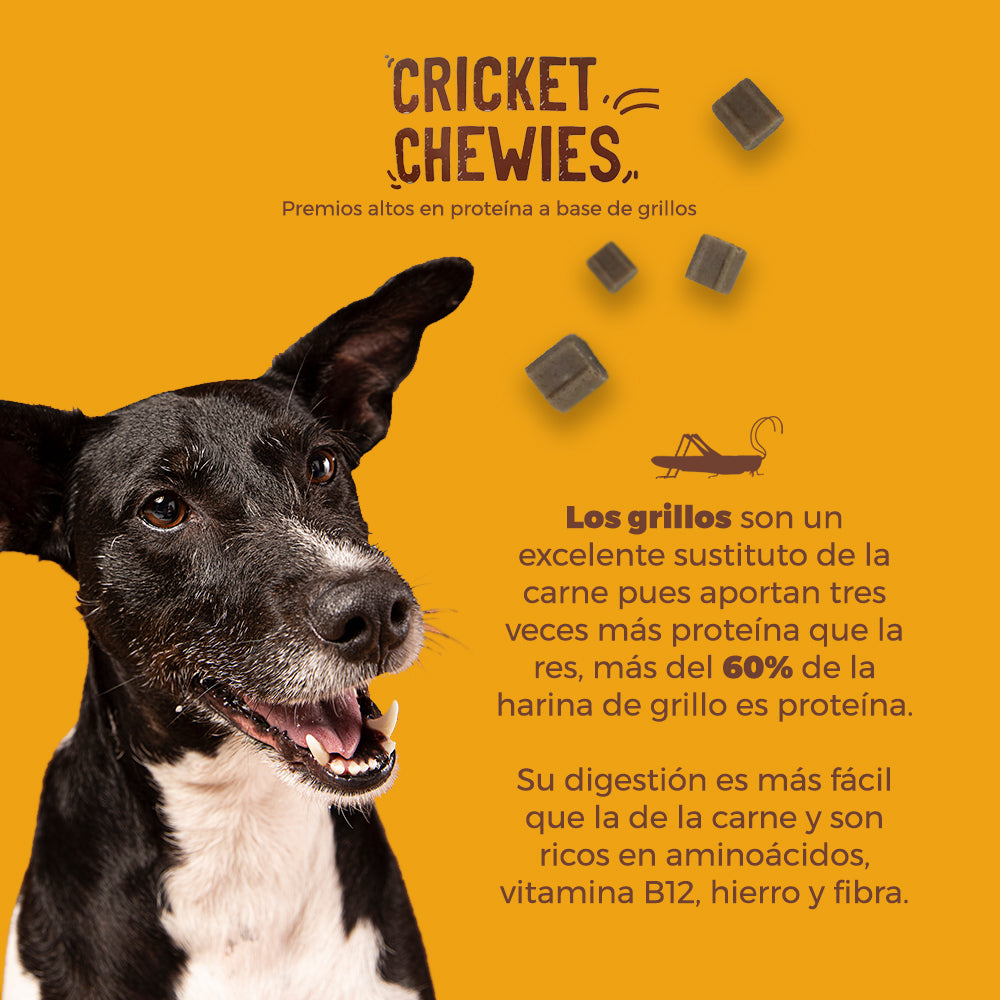 Premios para Perros Cricket Chewies, Altos en Proteínas a base de Grillos, 85 g. - tienddy.com