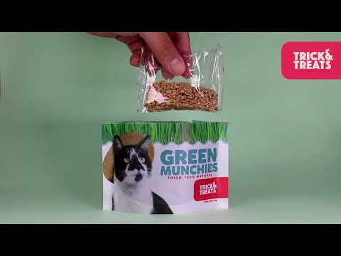 Pasto para Gato Green Munchies, 50 g. - Avena y Cebada