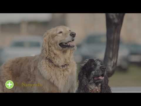 Calmantes para Perros, Pet Naturals, 21 pastillas - Razas Chicas