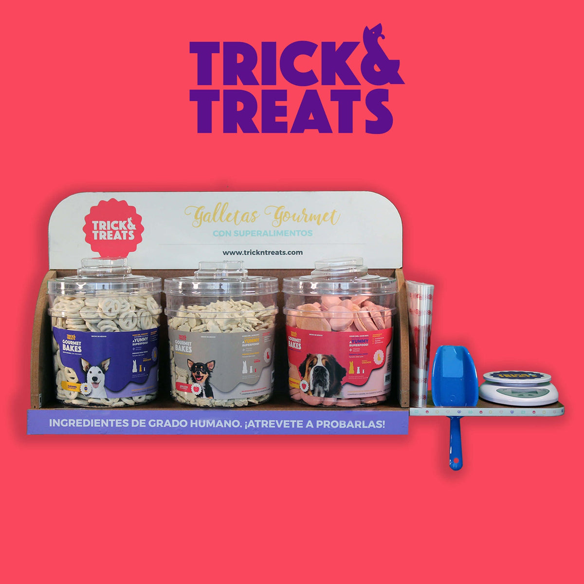 Galleta Gourmet Para Perros Trick & Treats, 1 Kg. - Banana Cream - tienddy.com