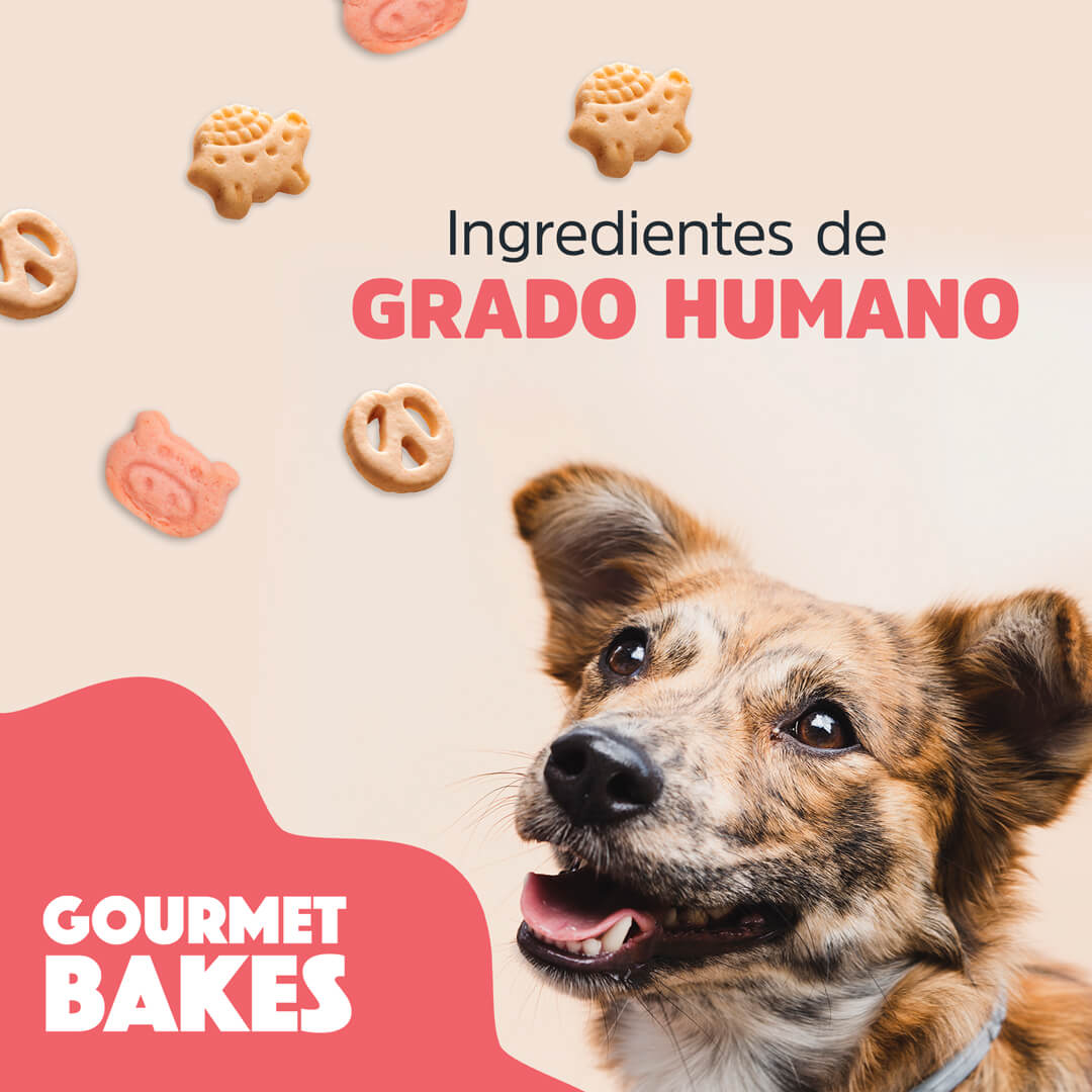 Gourmet Bakes para Perro de Trick & Treats, 150 g. - Dulce de Leche - tienddy.com