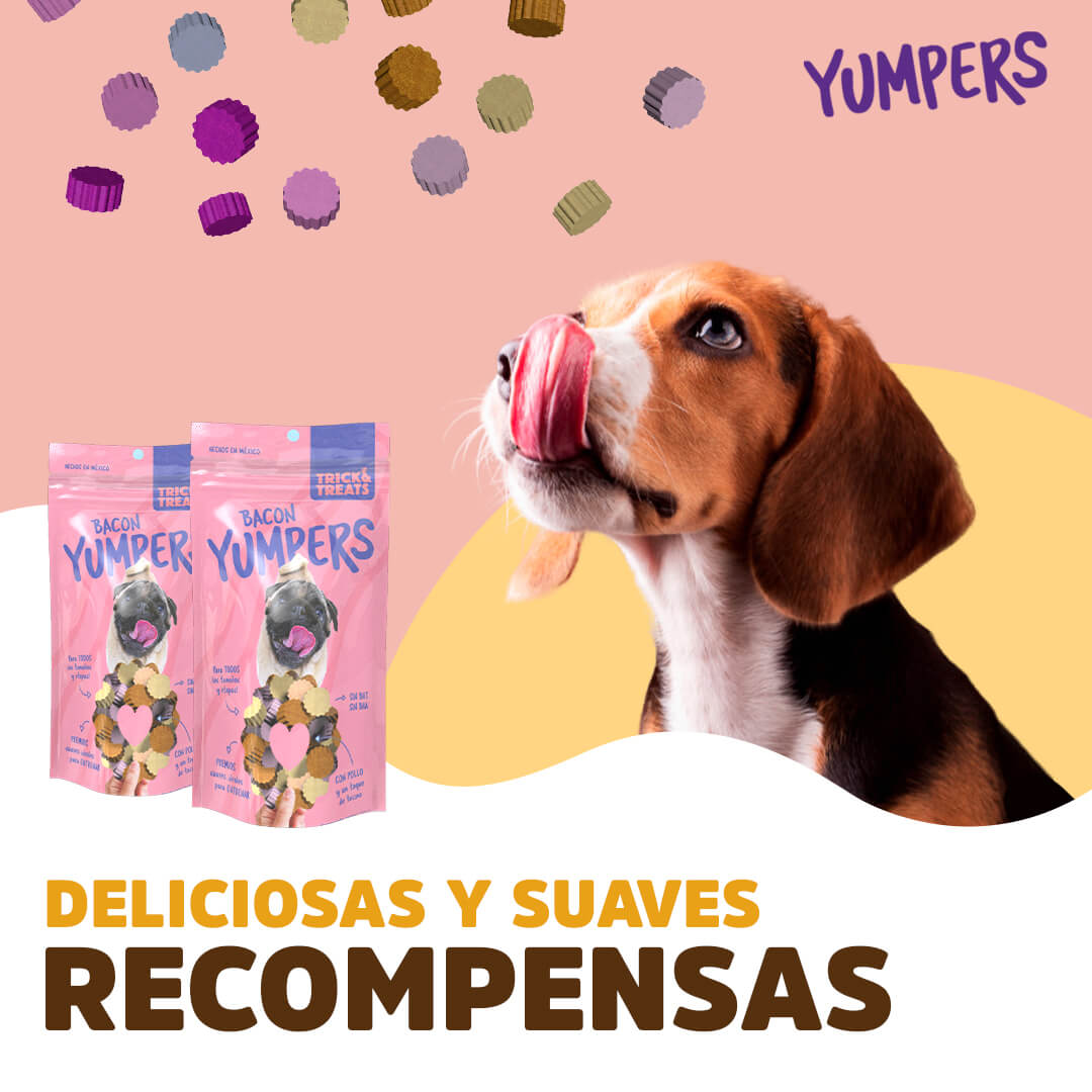 Yumpers de Trick & Treats, 100 g. - Tocino - tienddy.com