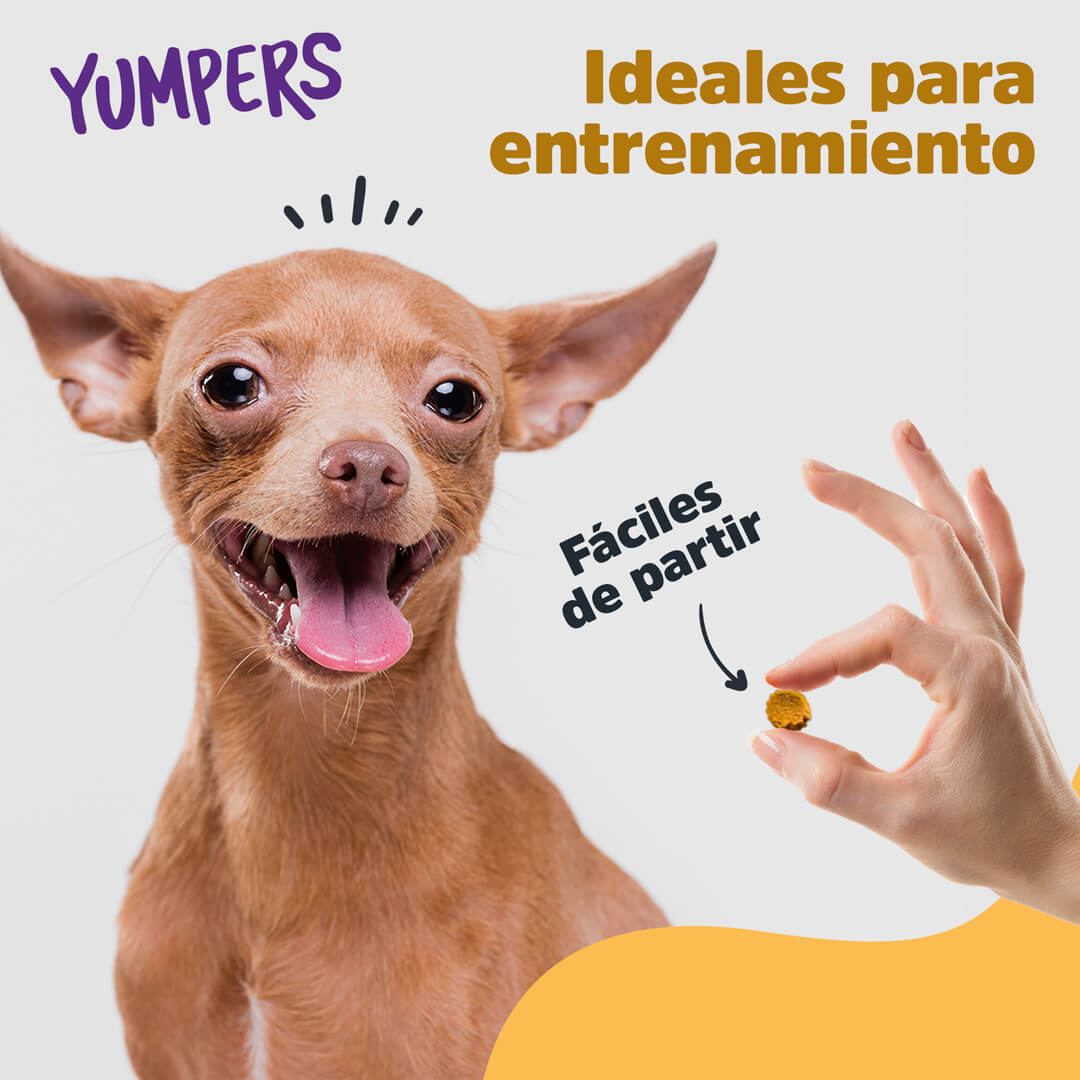 Yumpers de Trick & Treats, 100 g. - Tocino - tienddy.com