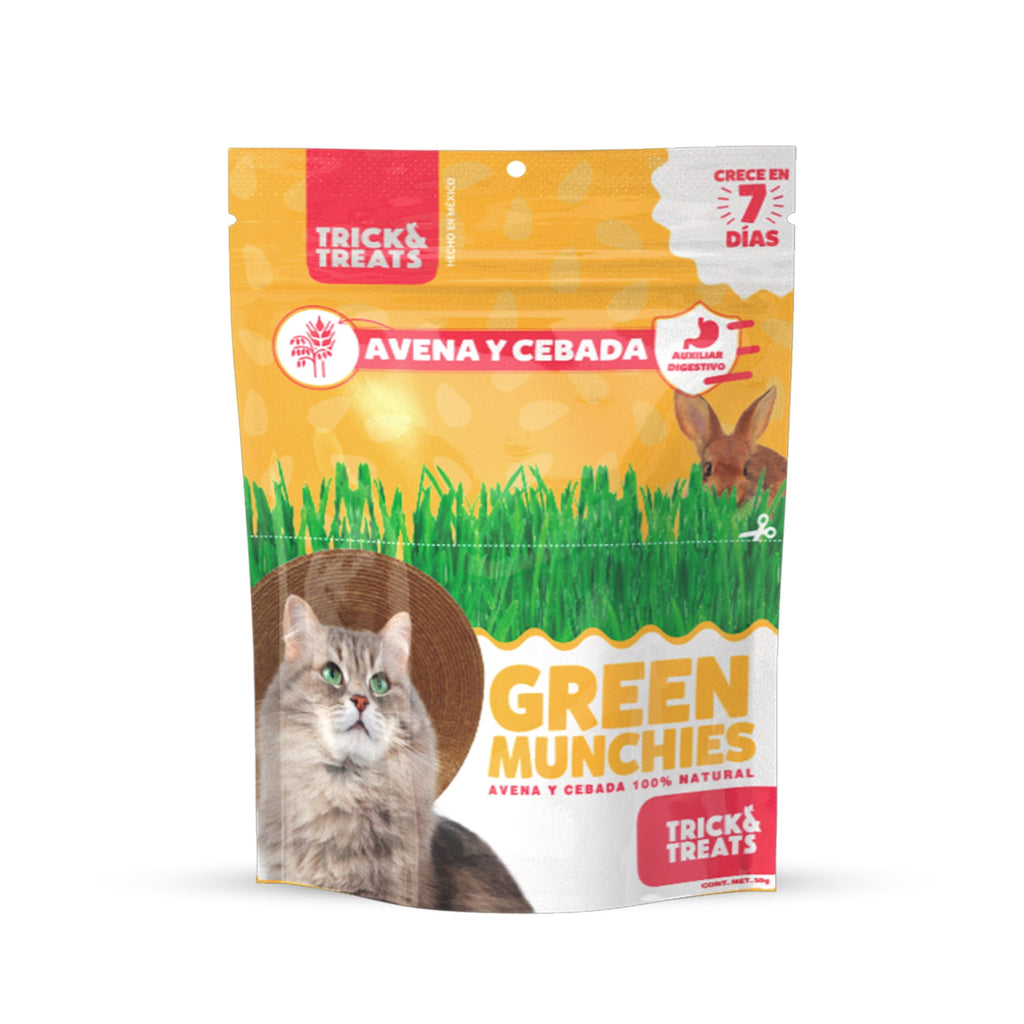Pasto para Gato Green Munchies, 50 g. - Avena y Cebada - tienddy.com