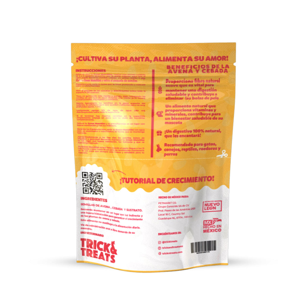 Pasto para Gato Green Munchies, 50 g. - Avena y Cebada - tienddy.com