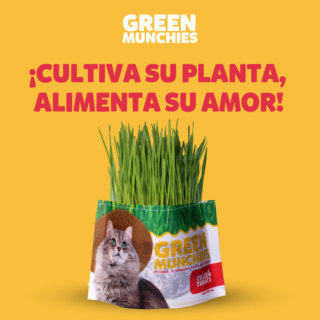 Pasto para Gato Green Munchies, 50 g. - Avena y Cebada - tienddy.com