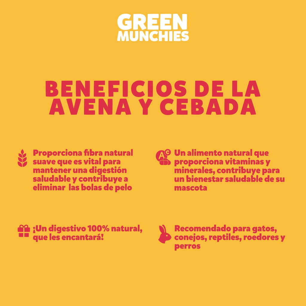 Pasto para Gato Green Munchies, 50 g. - Avena y Cebada - tienddy.com