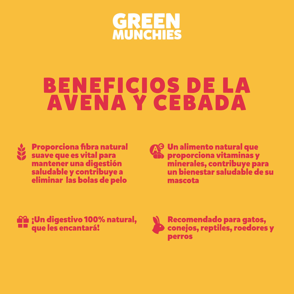 Pasto para Gato Green Munchies, 50 g. - Avena y Cebada - tienddy.com