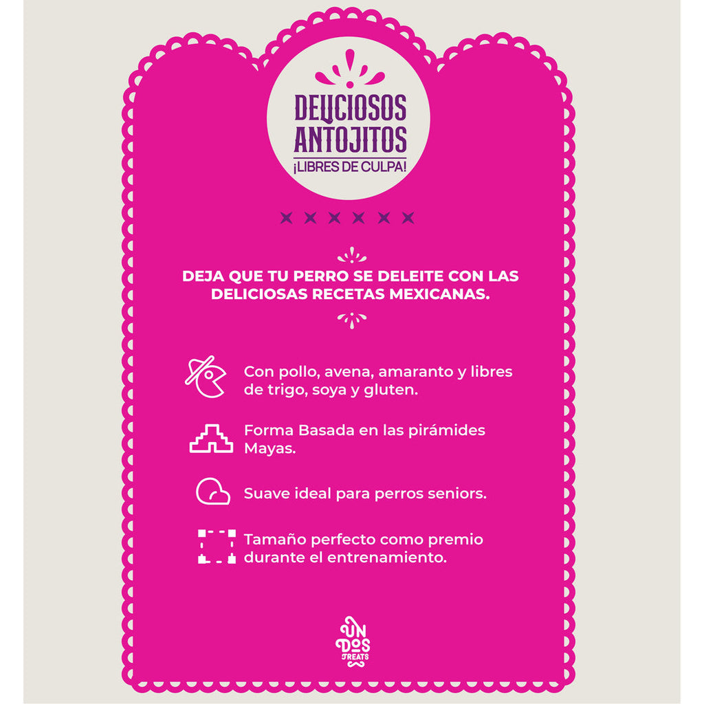 Guilt Free Antojitos Saludables - Tinga - tienddy.com