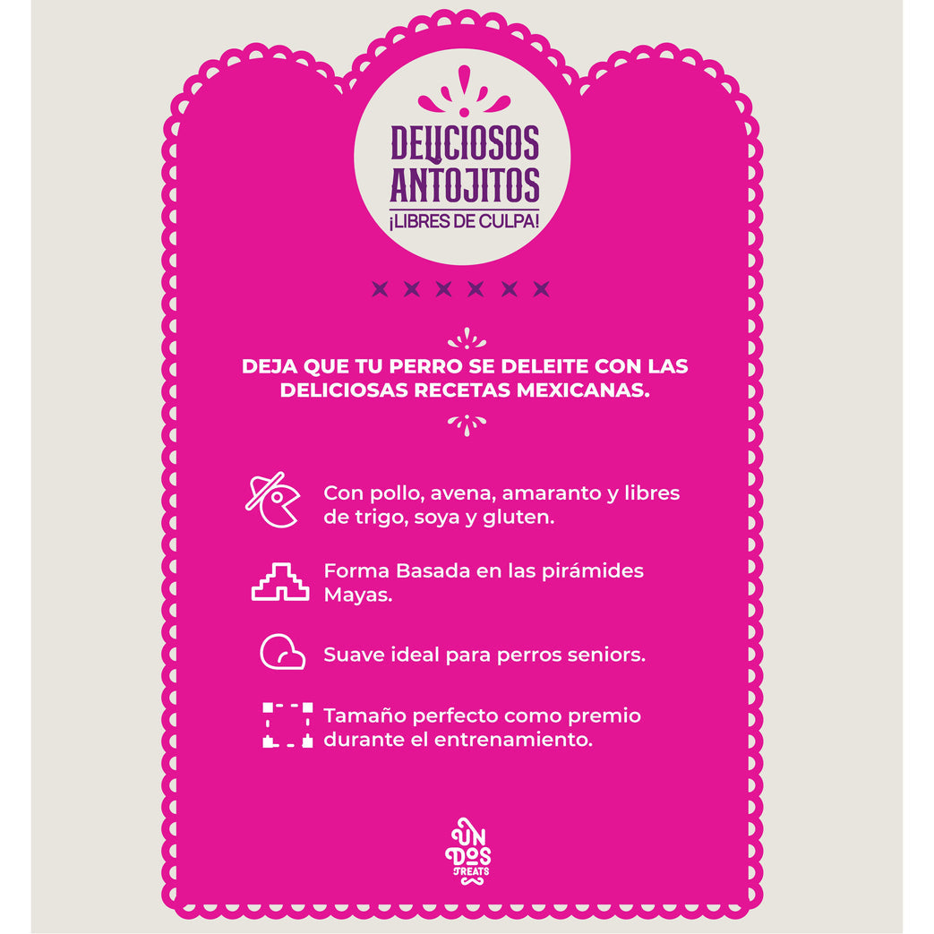 Guilt Free Antojitos Saludables - Tinga - tienddy.com