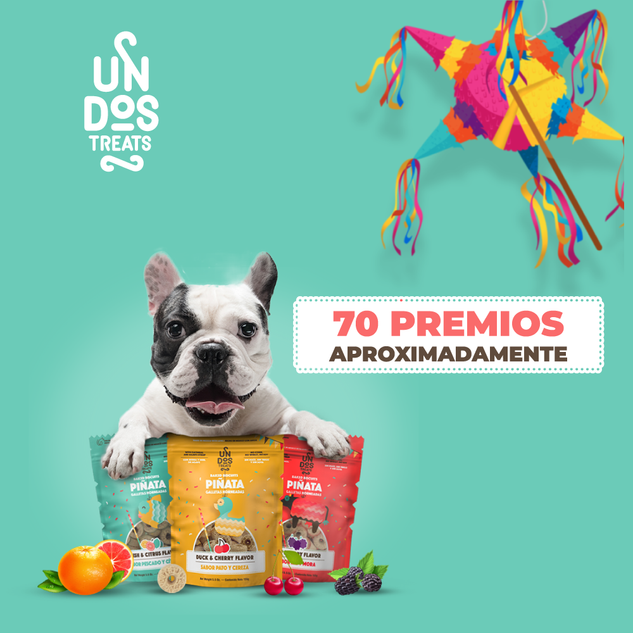 Un dos Treats Baked Biscuits Piñata, Galletas Horneadas - Res y Moras - tienddy.com
