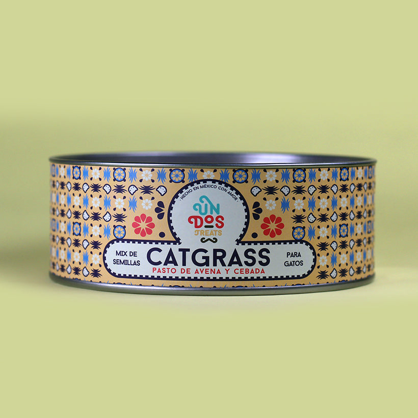 Cat Grass Mix Avena y Cebada, Pasto para Gato - tienddy.com
