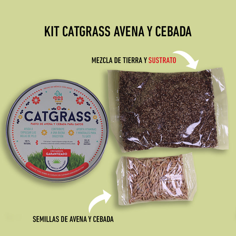 Cat Grass Mix Avena y Cebada, Pasto para Gato - tienddy.com