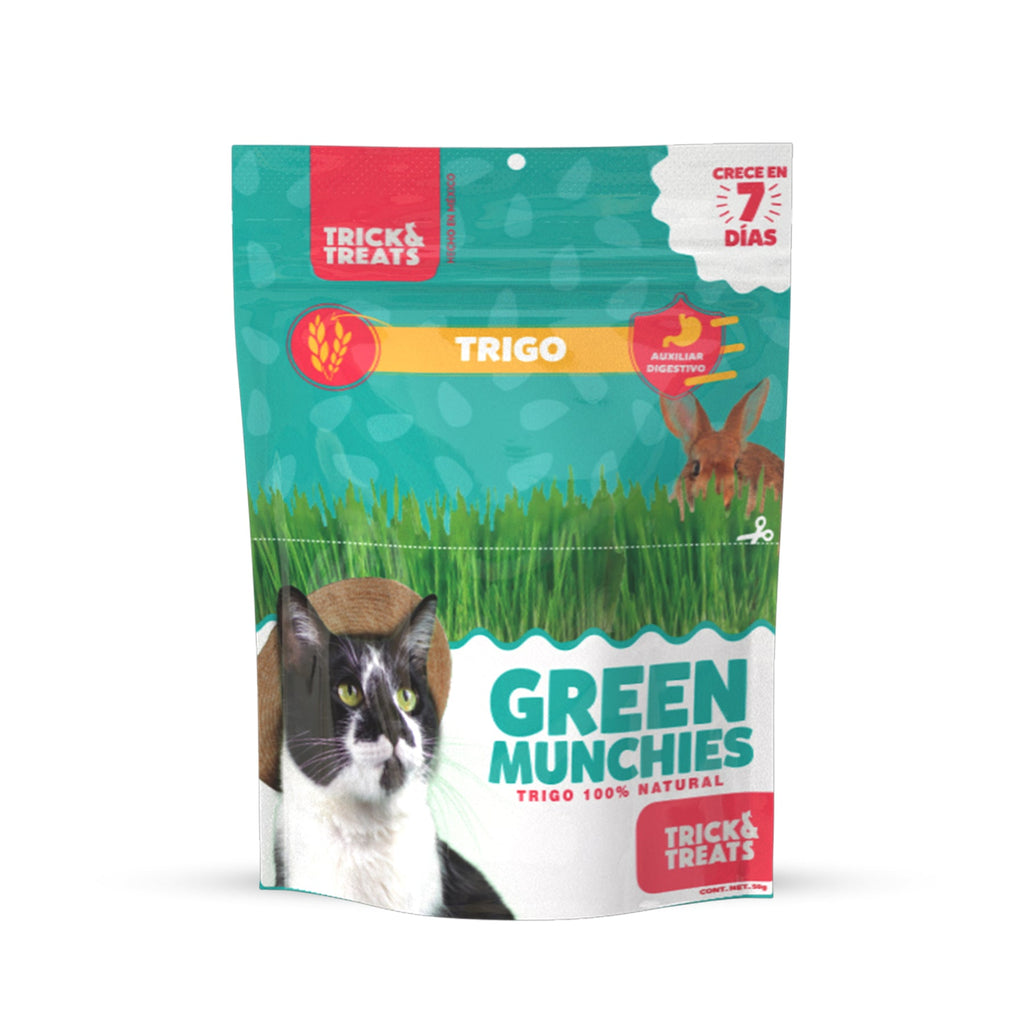 Pasto para Gato Catgrass de Trigo, 50 g. - tienddy.com