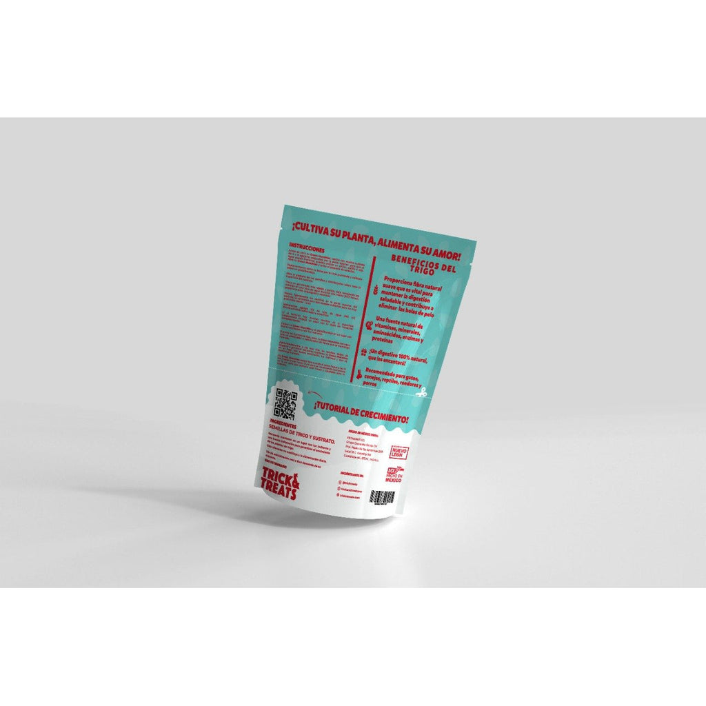 Pasto para Gato Catgrass de Trigo, 50 g. - tienddy.com